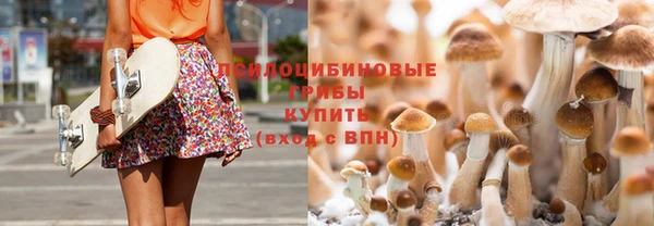 винт Белоозёрский