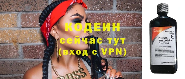 хмурый Бородино