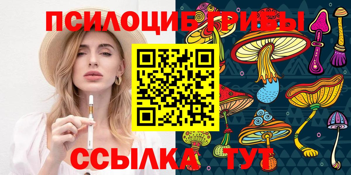 Галлюциногенные грибы Psilocybe  Вход с VPN  Бутурлиновка 
