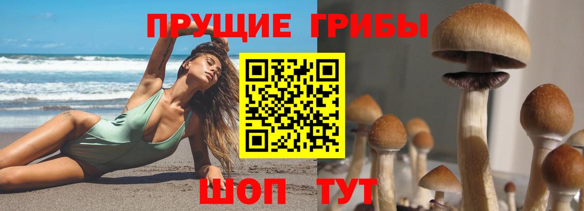 Галлюциногенные грибы GOLDEN TEACHER Бутурлиновка